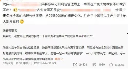 国产九一大神在线,国产在线娱乐平台的璀璨明珠